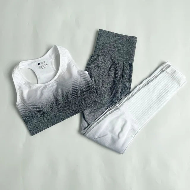 Ombre Activewear Set- Seamless