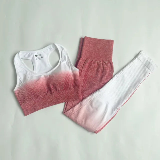 Ombre Activewear Set- Seamless